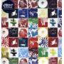 &nbsp;"Chemical Brothers, The-Brotherhood-Virgin-LP"