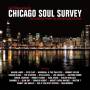 Q BASE-LOST IN DREAMS - Chicago Soul Survey: 28 Classics From Golden / Var